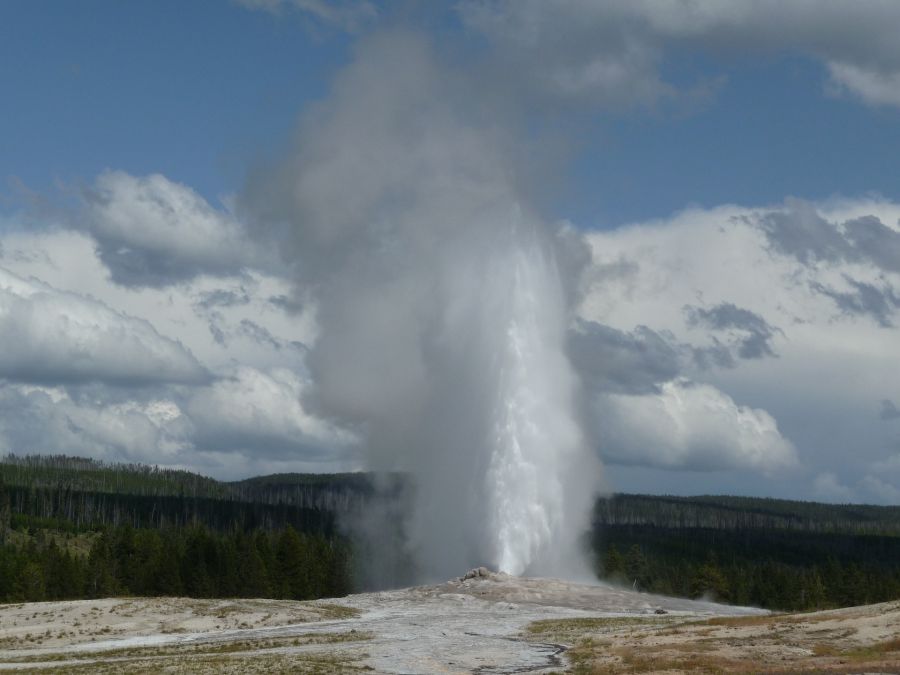 Geyser