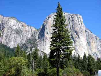 Album photo Yosemite National Park