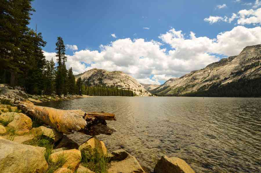 Rivière Yosemite