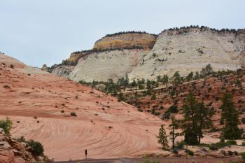 Album photo Zion National Park