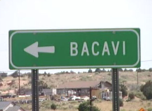 Bacavi