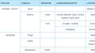 Langages Amérindiens