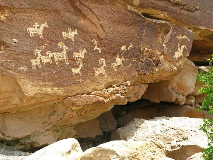 Pétroglyphes Ute au parc national des Arches 