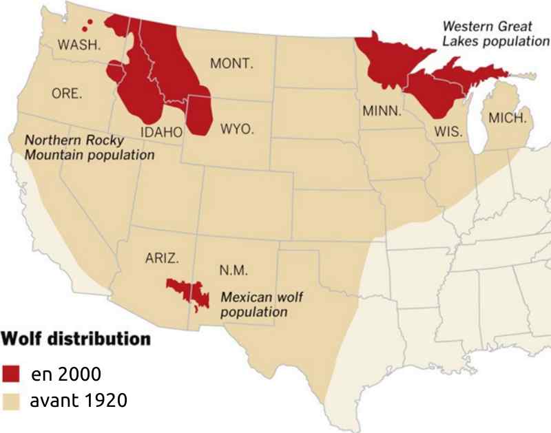 Carte répartition des loups aux Us avant 1920 et aujourd'huia