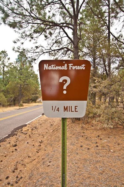 National Forest ?