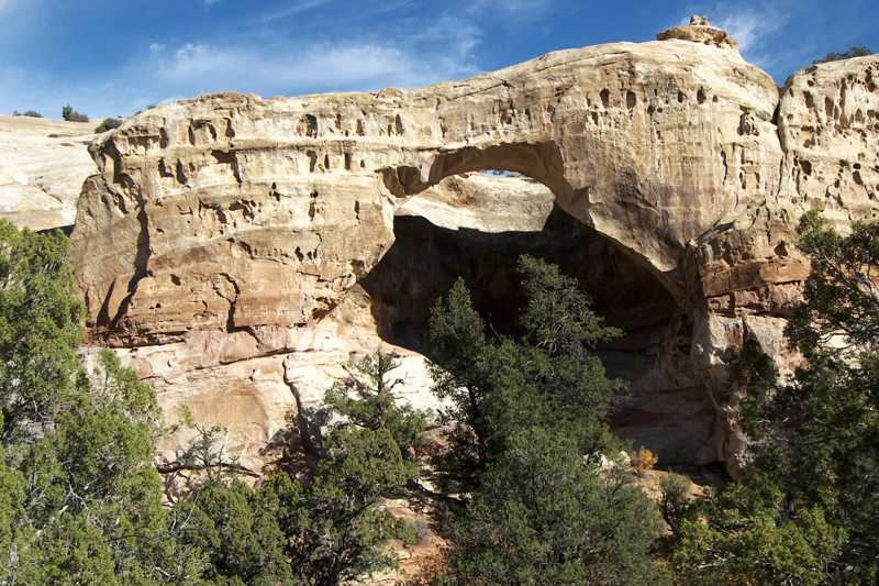 Sam Pollock Arch