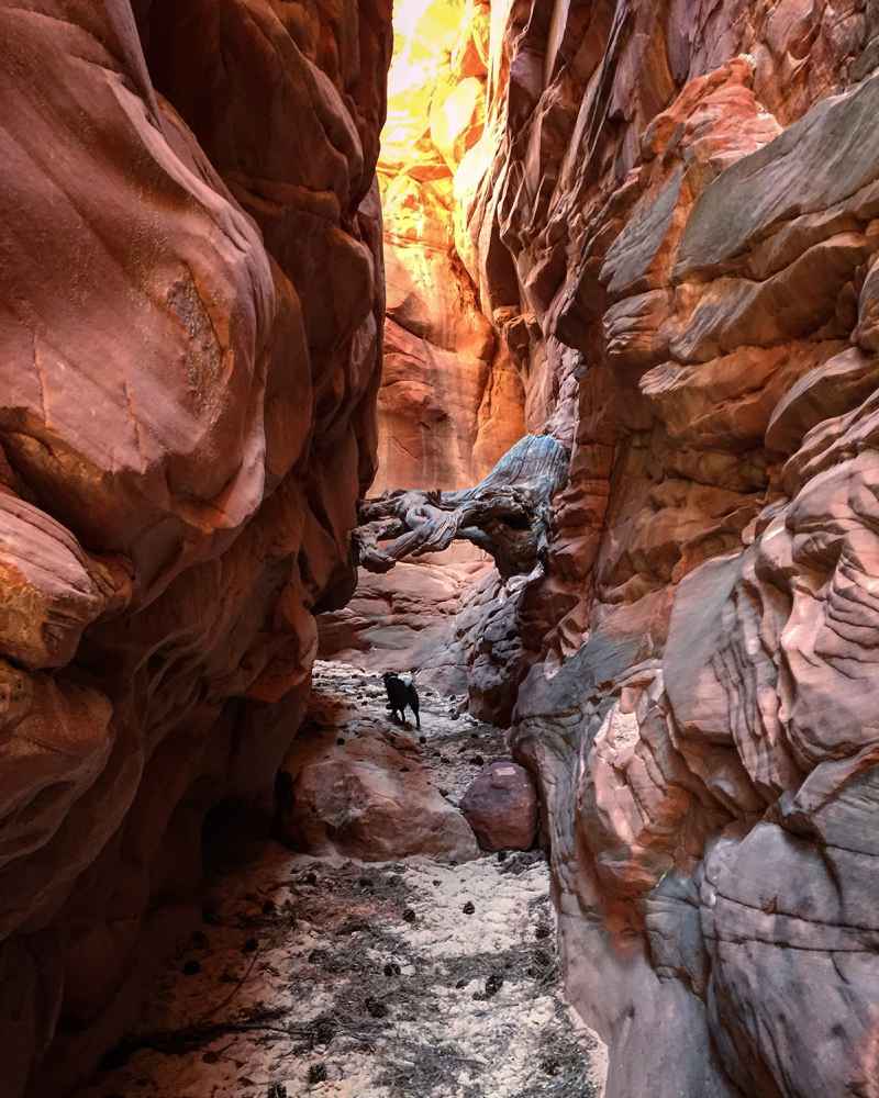 Slot Canyon