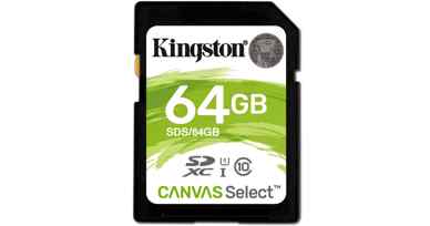 Kingston Carte Mémoire SD 64 Go Classe 10 