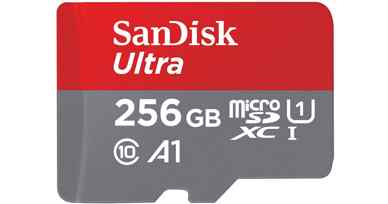 SanDisk Carte Mémoire MicroSDHC 256 Go Classe 10
