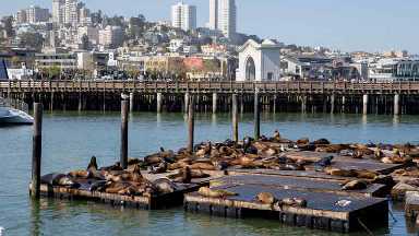 Activités et excursions à San Francisco