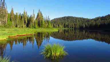 Mount Rainier National Park