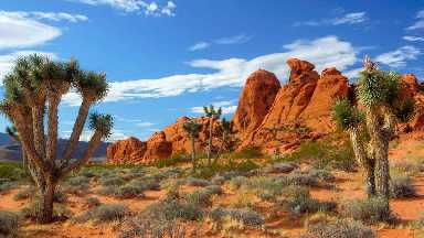 Gold Butte National Monument