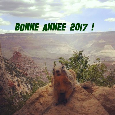 Bonne année 2017 !