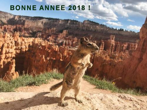 Bonne année 2018 !