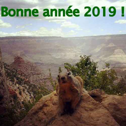 Bonne année 2019 !