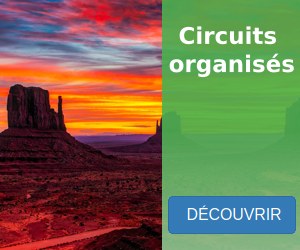 Circuits organisés