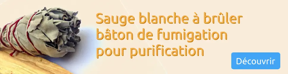 Sauge blanche en bâton