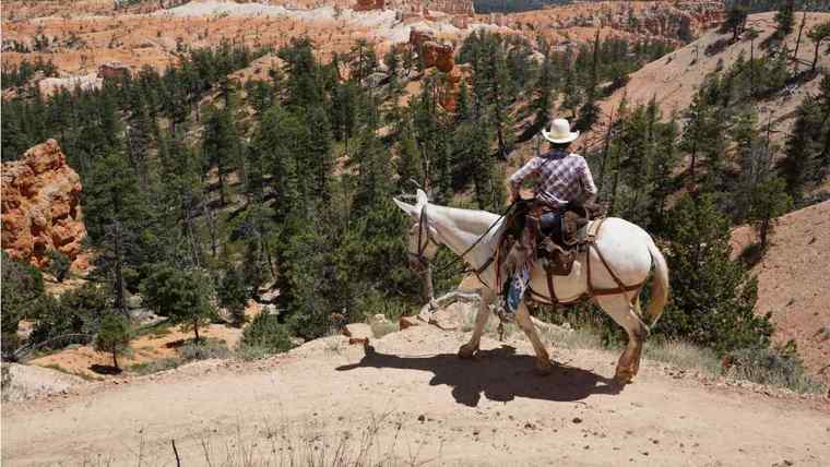 Activités et excursions ouest américain