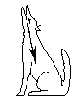 itazipi