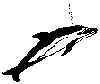 rzkrlut