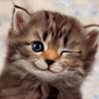 L'avatar de Feline