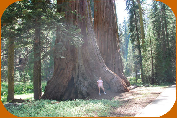 Sequoia National Park