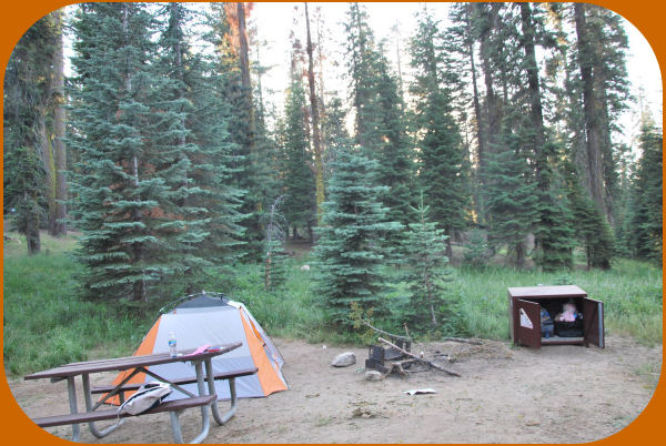 camping Sequoia National Park