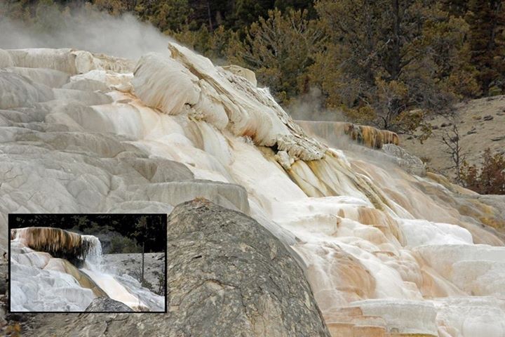 Yellowstone Pallette spring