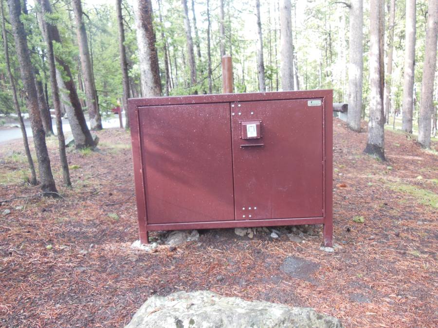 bear box yellowstone