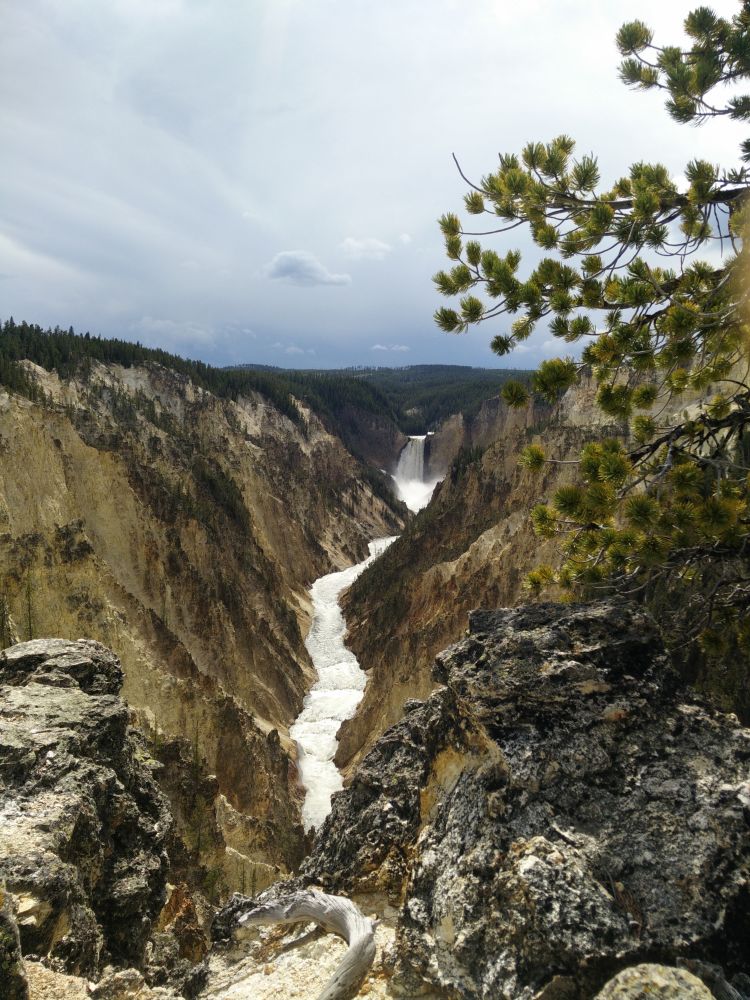 Grand canyon Yellowstone