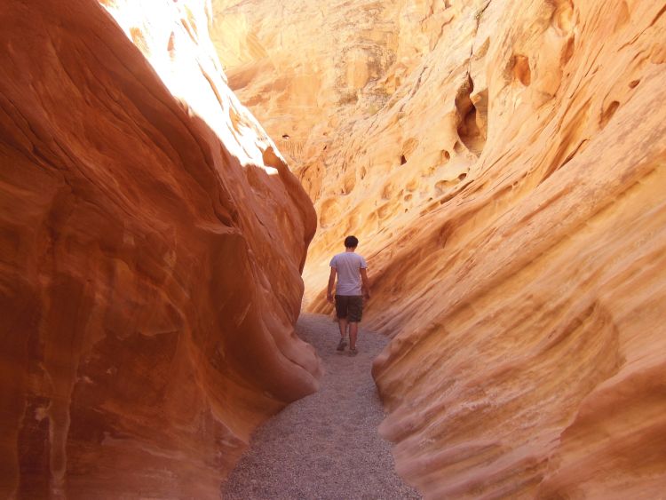 Little Wild Horse Canyon