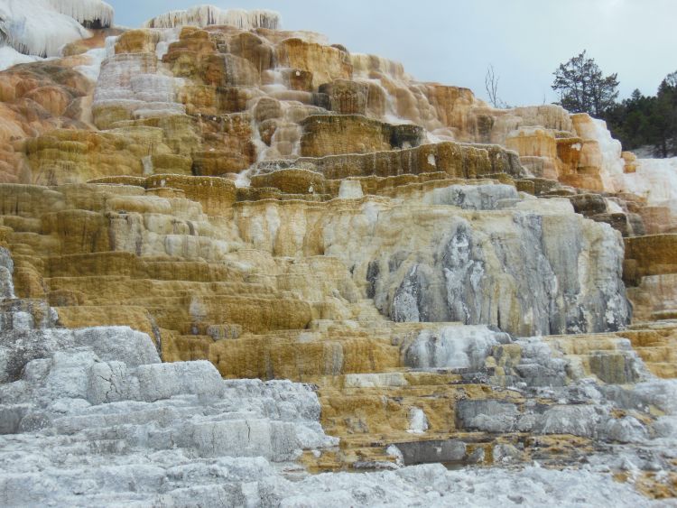 Mammoth Hot Springs