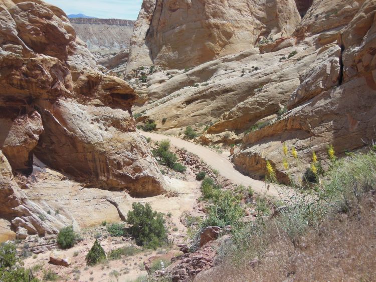 Switchback Burr Trail Road