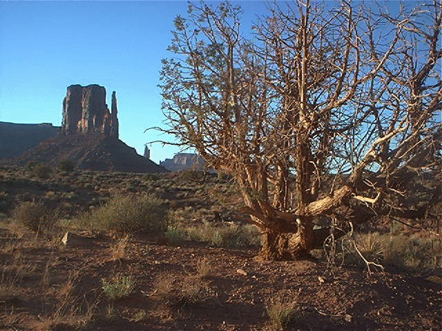 Monument valley.gif
