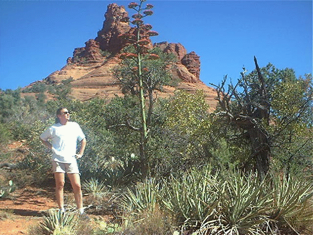 Sedona bell rock.gif