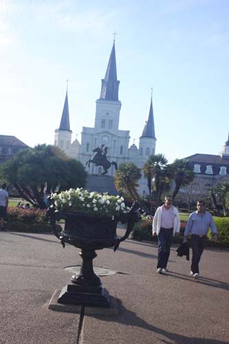 cathedrale saint louis