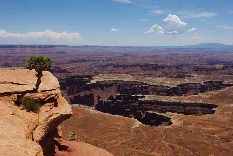 Canyonlands