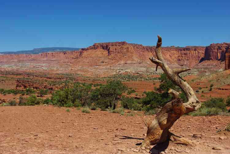 Capitol Reef