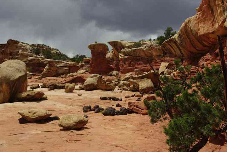 Capitol Reef