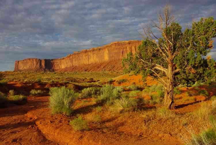 Monument Valley