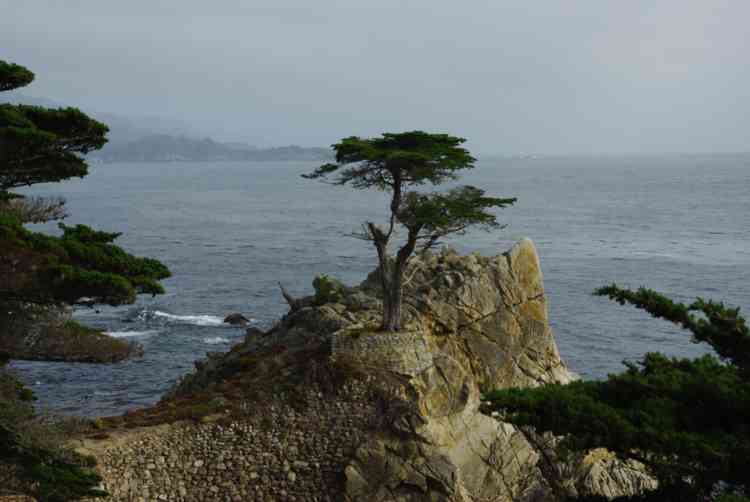 Pacific Grove