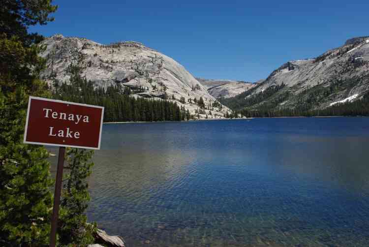 Tioga road