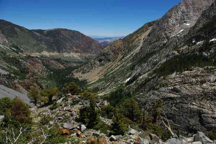 Tioga road