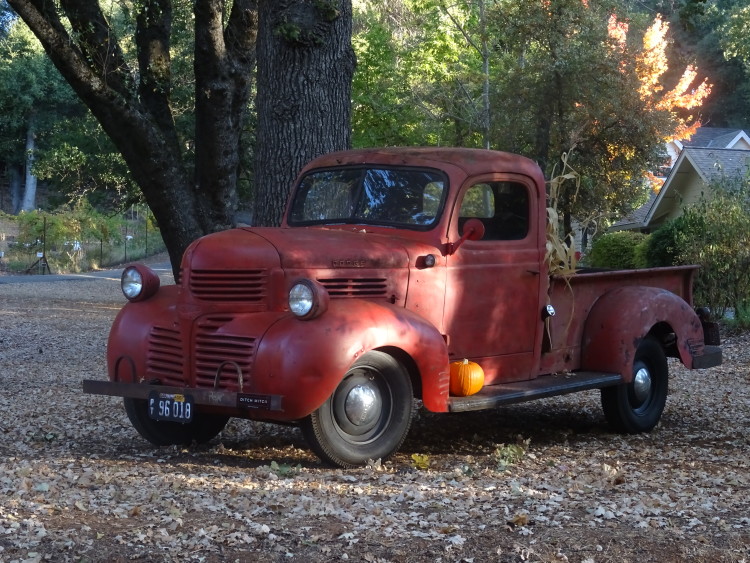 vieux camion