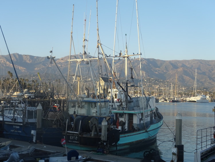 bateaux