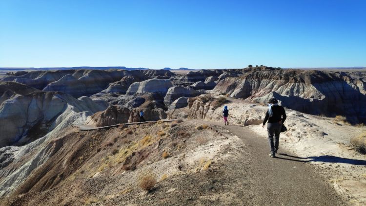 blue mesa painted desert