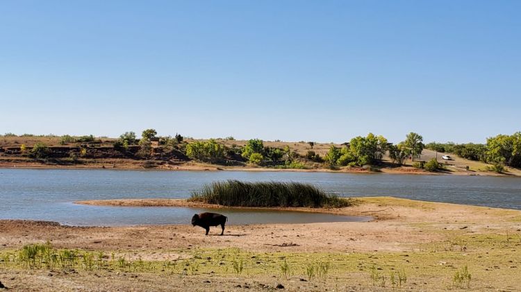 Caprock Canyons State Park