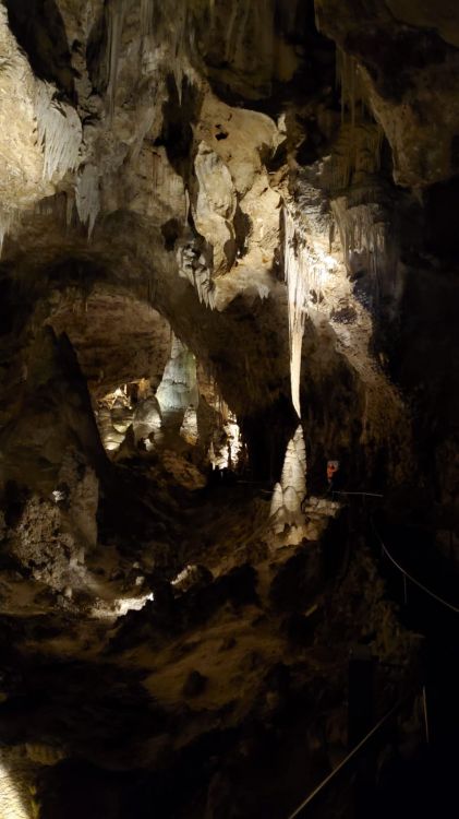 Carlsbad Caverns National Park