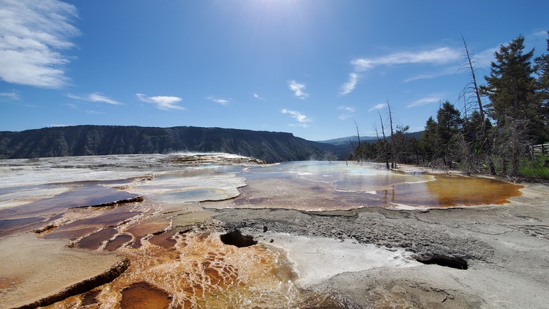 Mammoth Hot Spring