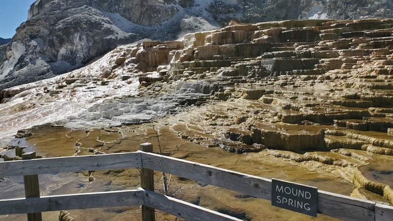 Mammoth Hot Spring